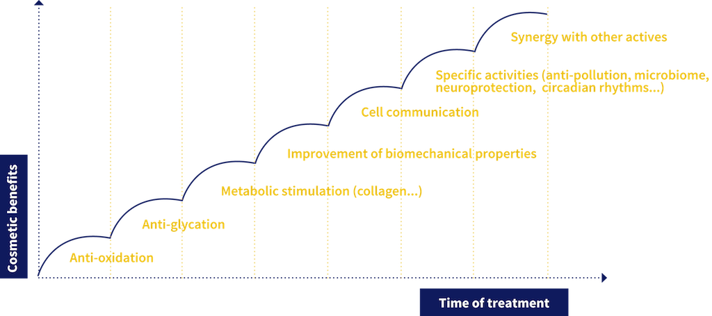 scale-benefits